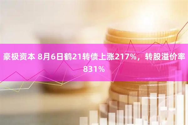 豪极资本 8月6日鹤21转债上涨217%，转股溢价率831%